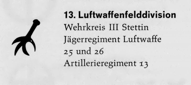 Insignes tactiques des Felddivisions de la Luftwaffe Rad10