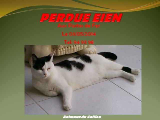 PERDUE EIEN chatte noire et blanche tatouée aux Portes de Fer le 03/05/2014 20140610