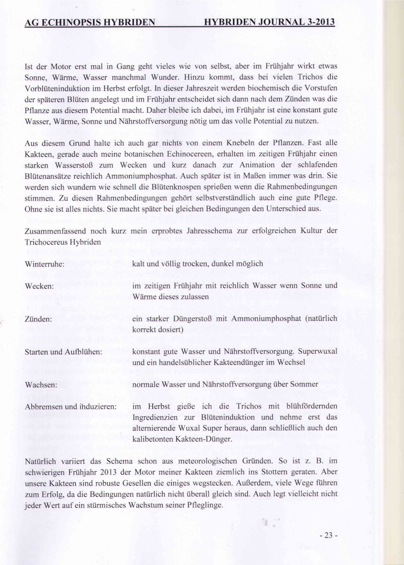 Rückblick 2013 - Seite 6 Scan2110