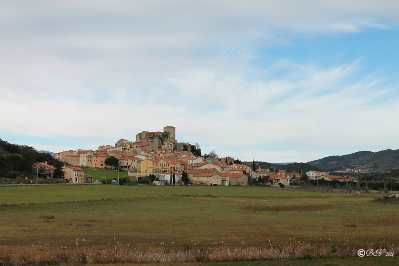 *chat* - Photos de Montalba le Château C2014015