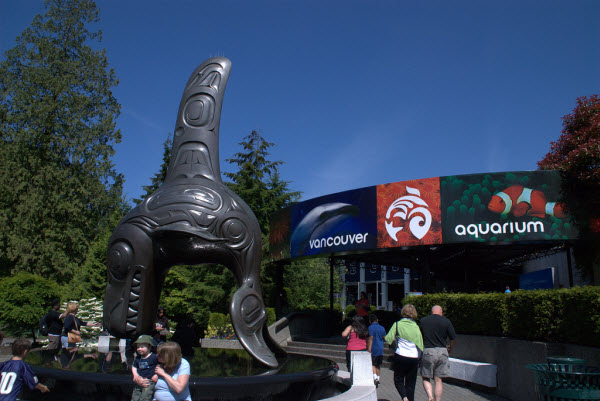 [Présentation/Parc] Vancouver Aquarium Aquari10