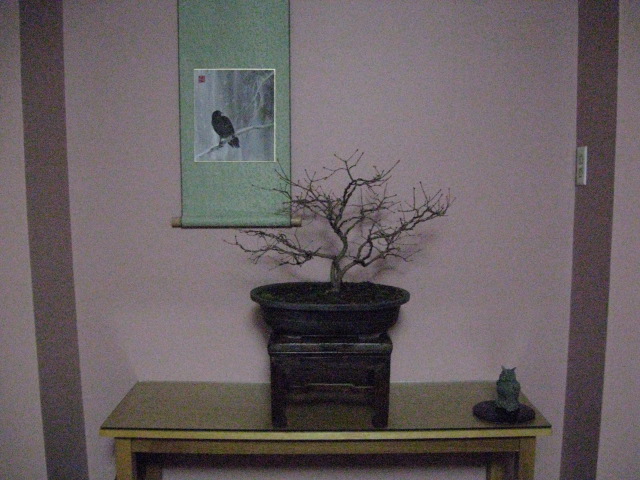 question on bonsai height in relationship to scroll's picture height Img_3115