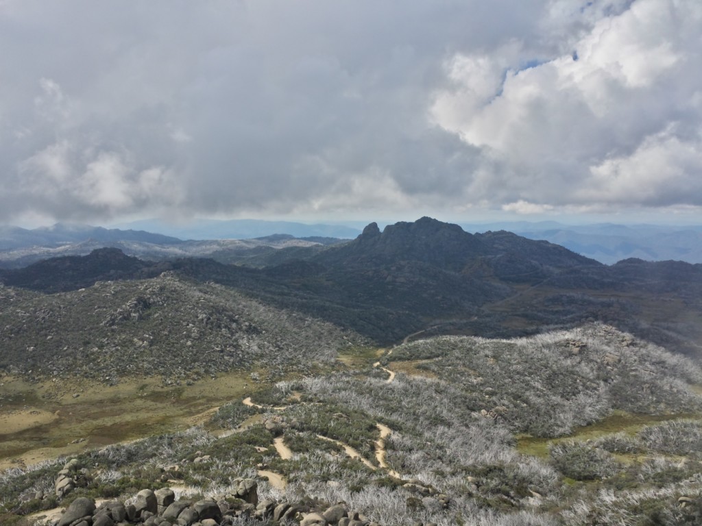 Mt Buffalo and "The Horn" Hill Climb - March 2014 20140335