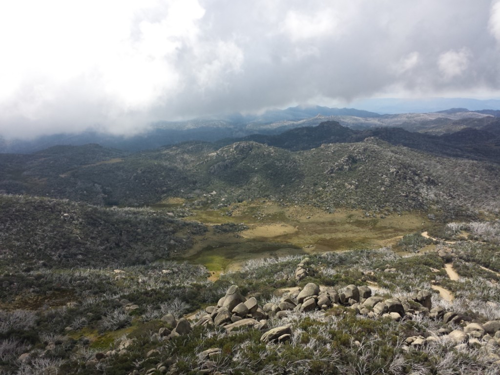 Mt Buffalo and "The Horn" Hill Climb - March 2014 20140336