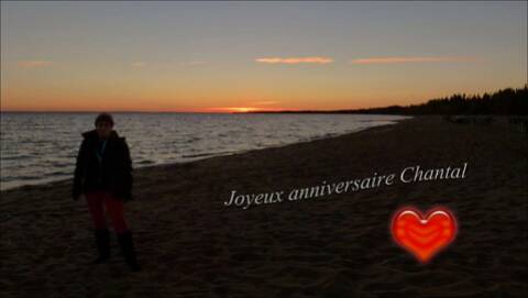 Joyeux Anniversaire Chantal Joyeux Anniversaire Chantal