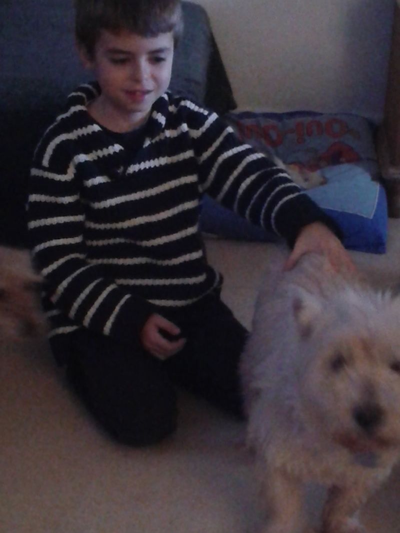 Tobby westie 12 ans  - Page 3 20140215