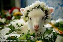En la Sainte Agnès, deux agneaux ont été présentés au Pape 1_0_7619