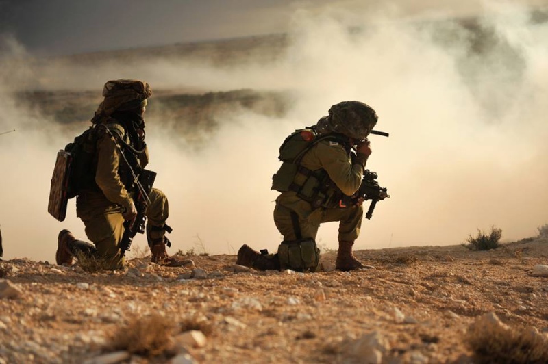 Armée Israélienne / Israel Defense Forces (IDF) - Page 21 11106