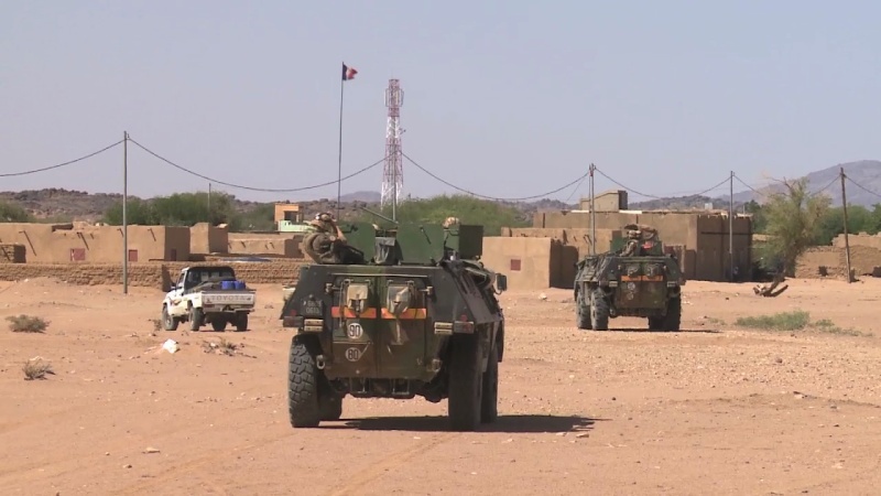 Intervention militaire au Mali - Opération Serval - Page 31 1142