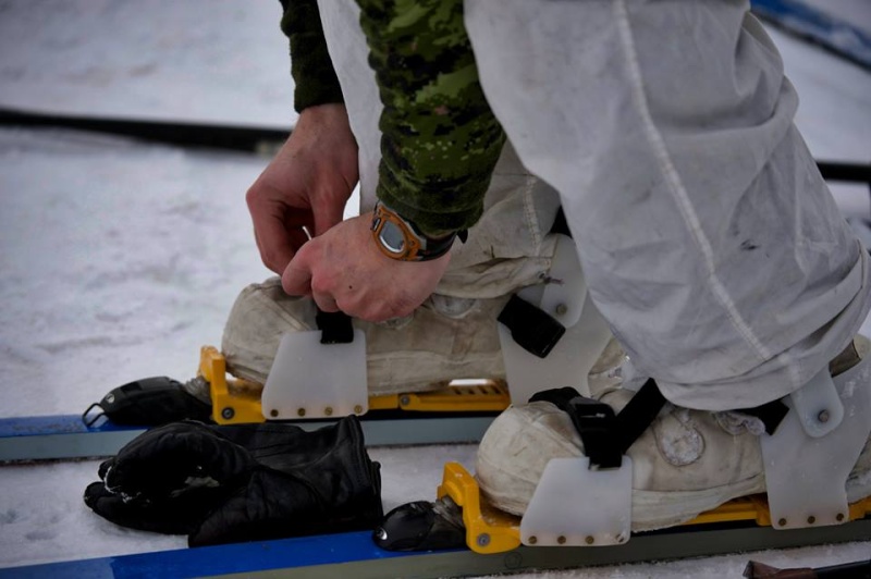 Armée canadienne/Canadian Armed Forces - Page 16 13108