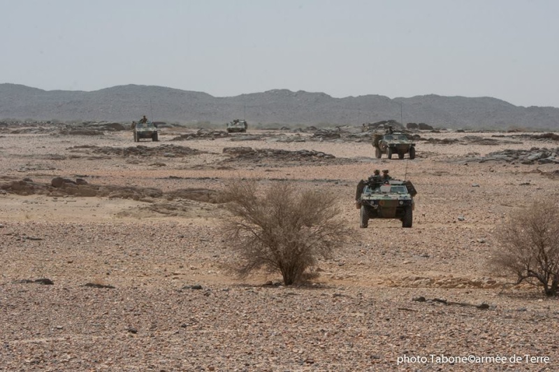 Intervention militaire au Mali - Opération Serval - Page 34 16106