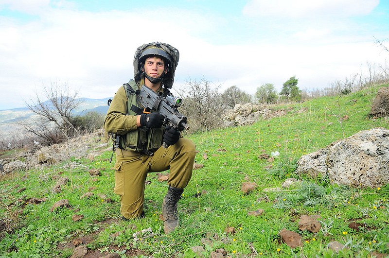 Armée Israélienne / Israel Defense Forces (IDF) - Page 26 16109