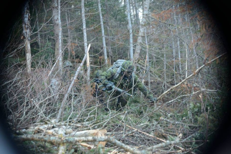 Armée canadienne/Canadian Armed Forces - Page 18 16114