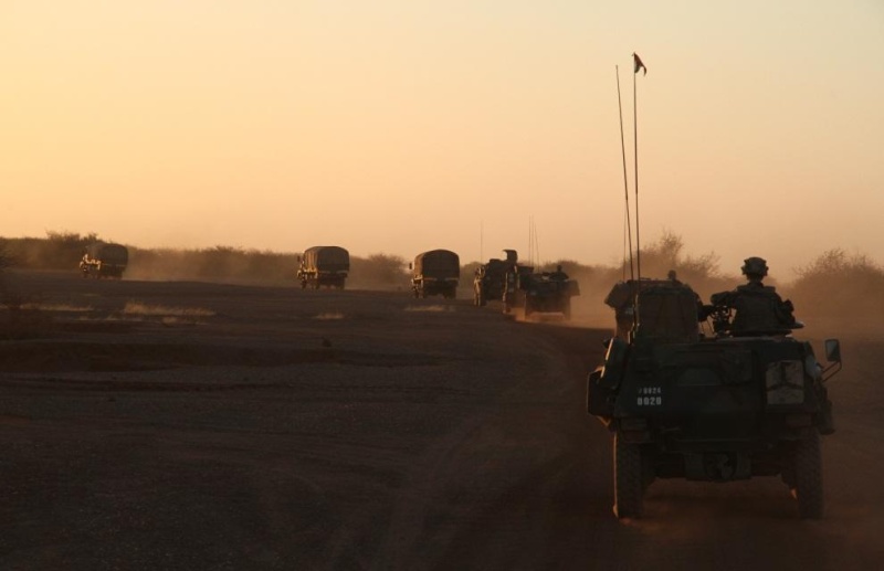 Intervention militaire au Mali - Opération Serval - Page 31 3135