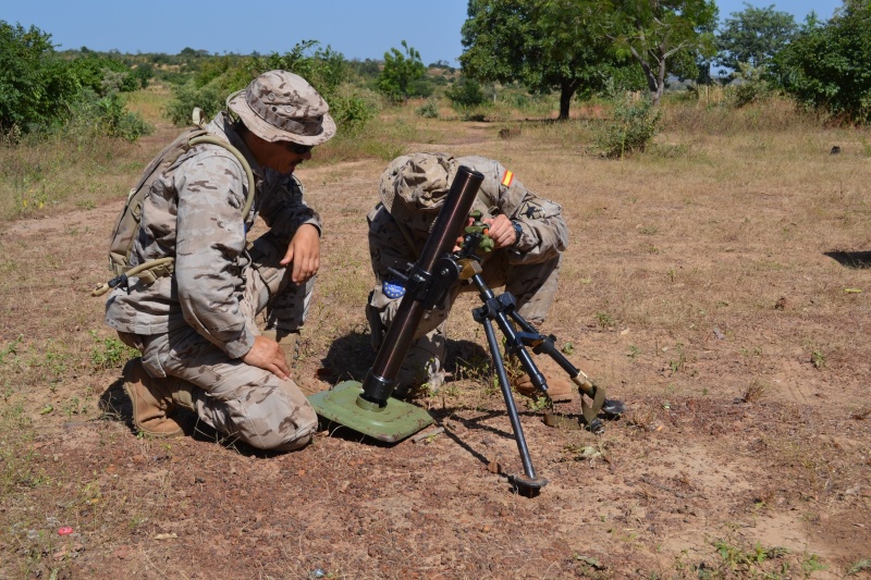 Armée Malienne / Armed and Security Forces of Mali - Page 9 363