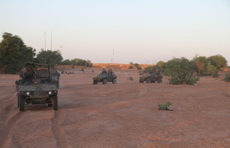 Intervention militaire au Mali - Opération Serval - Page 31 382