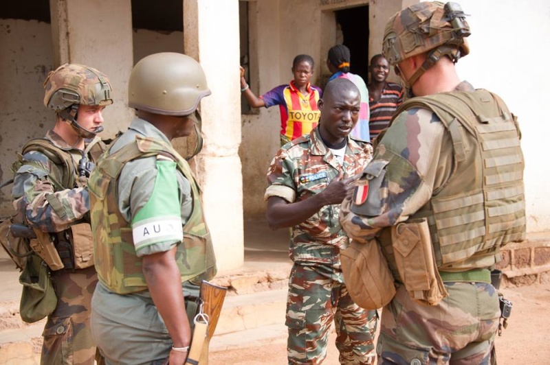Intervention militaire en Centrafrique - Opération Sangaris - Page 10 5367