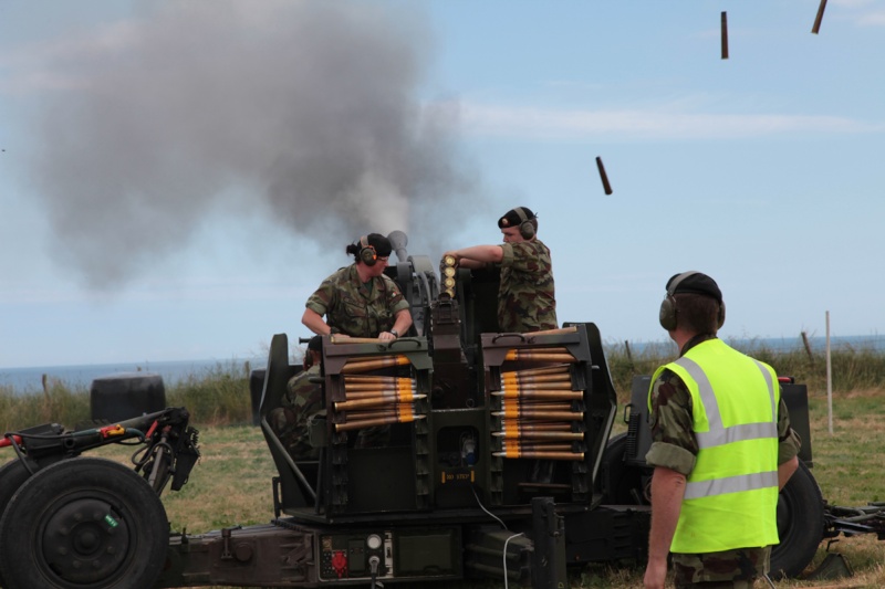 Armée Irlandaise/Irish Armed Forces - Page 2 6232