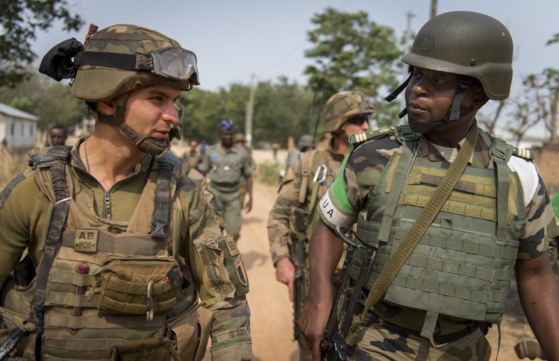 Intervention militaire en Centrafrique - Opération Sangaris - Page 7 7119