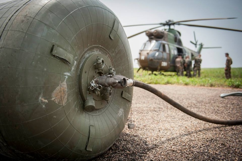 Intervention militaire en Centrafrique - Opération Sangaris - Page 7 8101