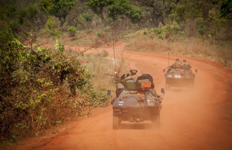 Intervention militaire en Centrafrique - Opération Sangaris - Page 7 984