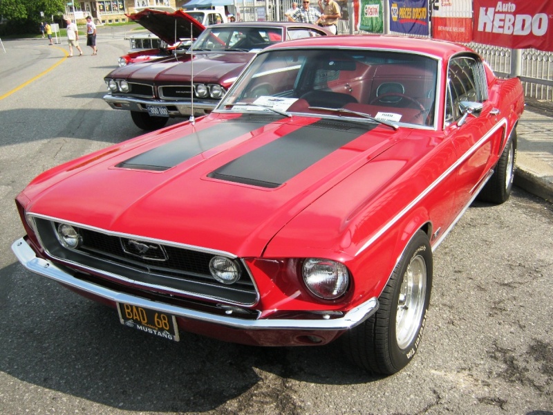 Photo de Mustang 1968 par "Le chat caméra" Ford_m38