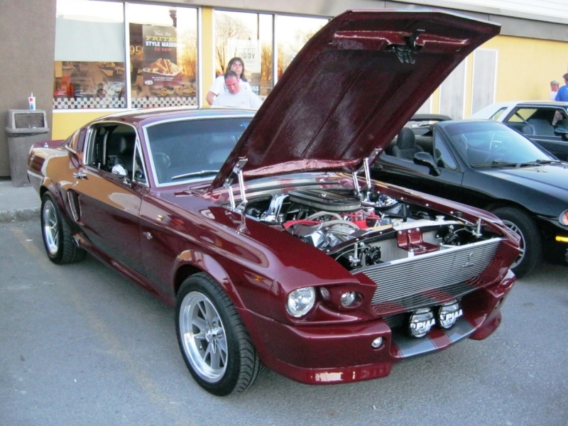 Photo de Mustang 1967 par "Le chat caméra" Shelby13