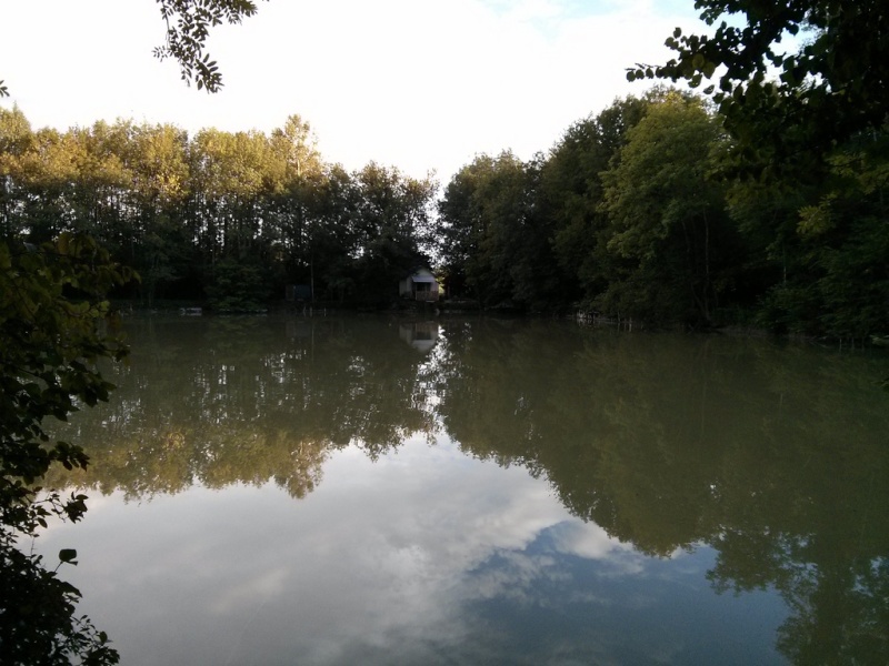 NUIT 10, Aube, Roncenay, Gites de l'étang de l'écrevisse bleue 97748010