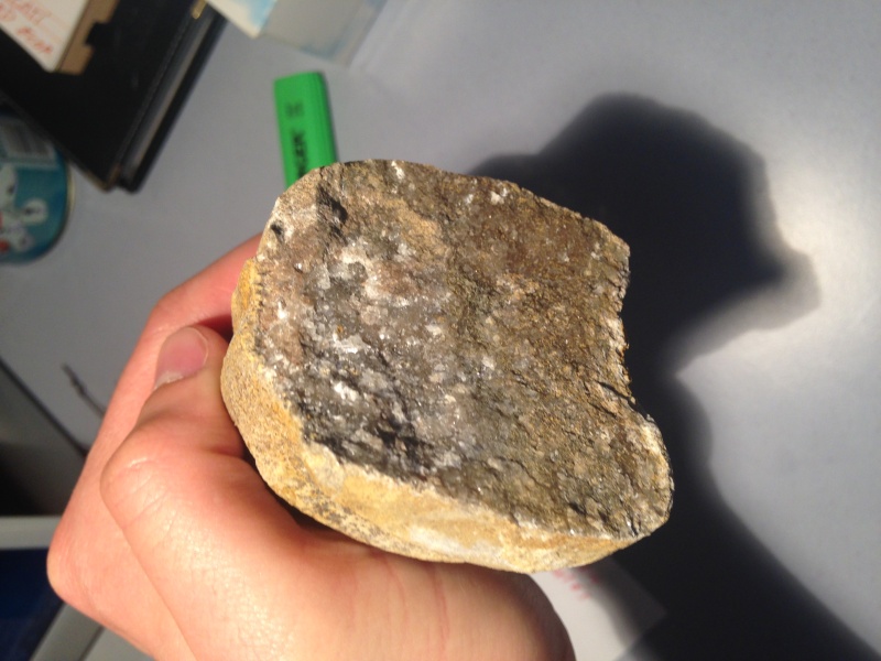 [Paléontologie] Aide identification pierre / Fossile? Img_0016