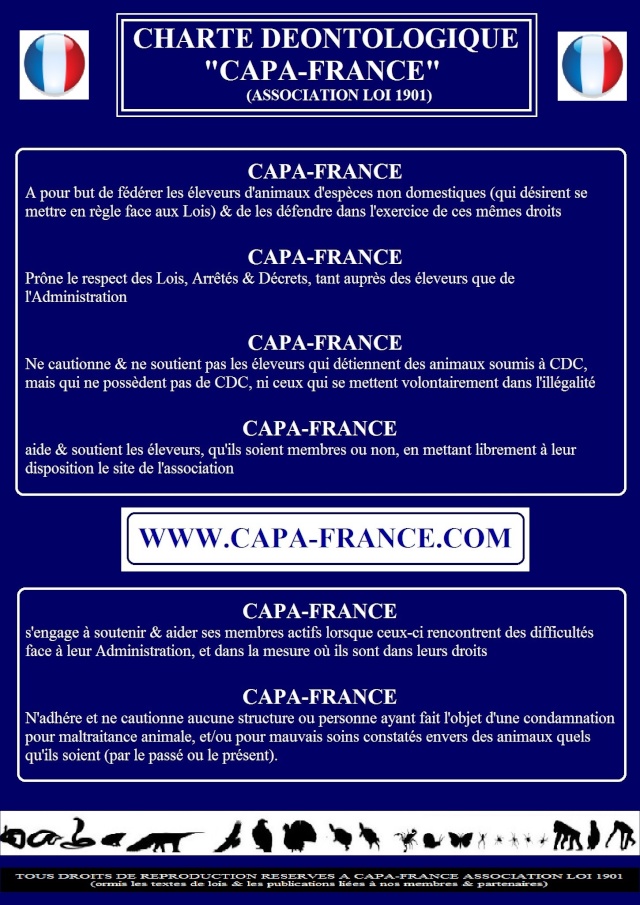 Partenariat CAPA France Page-410