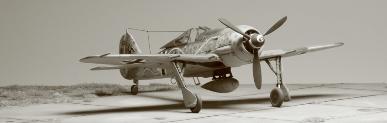 FW 190 A-8 Airfix  Fw_19021