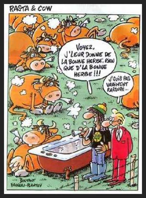 Humour en images - Page 7 Rasta10