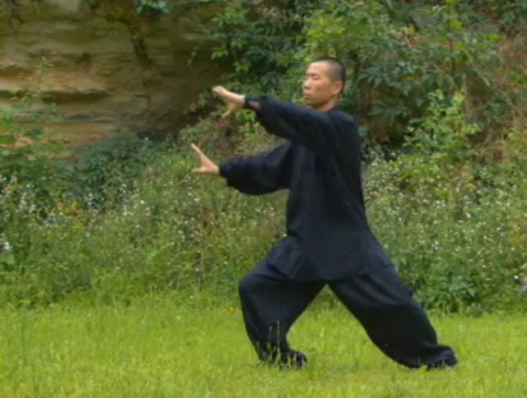 Le TaiChi Chuan, art martial aux multiples bienfaits Taichi10