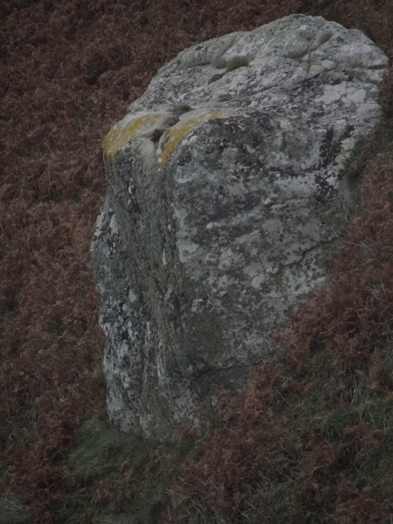 Le peuple de la roche 02811