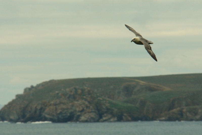 ils sont bien dans le Cap-Sizun 18110