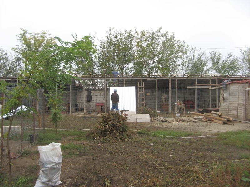 CONSTRUCTTION DE LA TRANCHE EUROPE -RESTAURATION DE LA TRANCHE AMERIQUEALLEZ ON CONTINUE L'AVENTURE CONSTRUISONS LES DERNIERS  BOXES AU REFUGE DE LENUTA -  R - Page 4 96757510