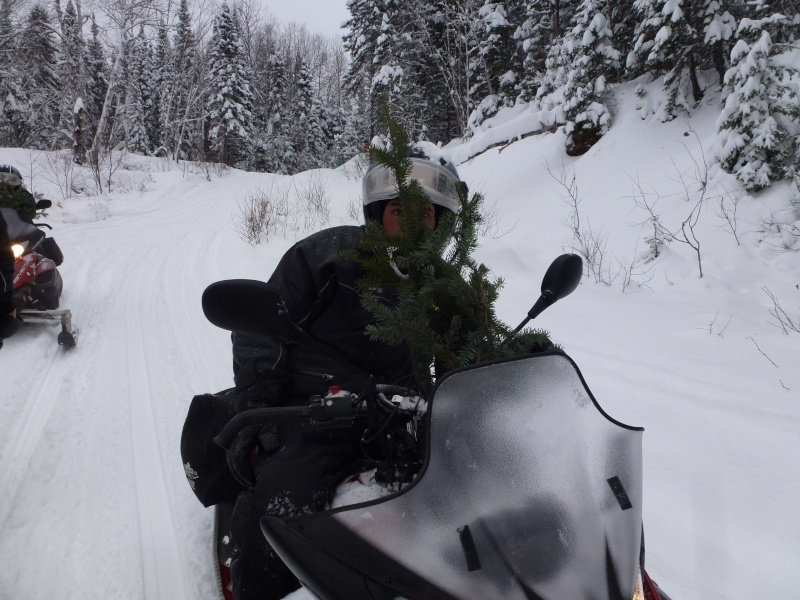 report - Report sortie en Mauricie... P1040614