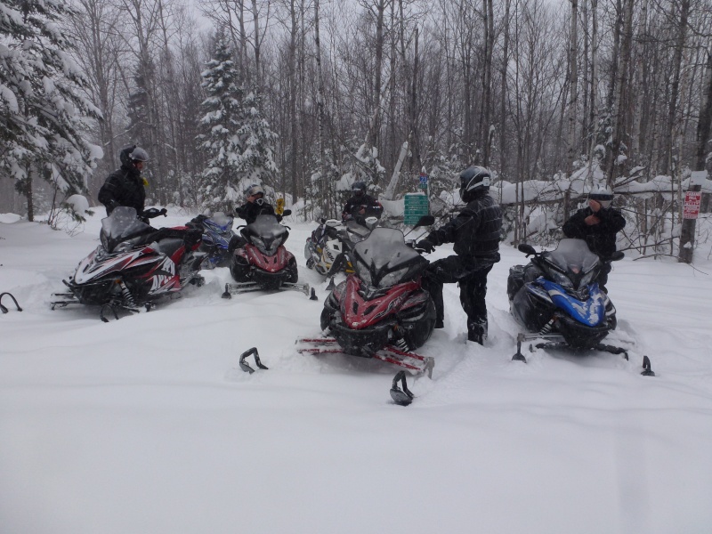 Report sortie en Mauricie... P1040717