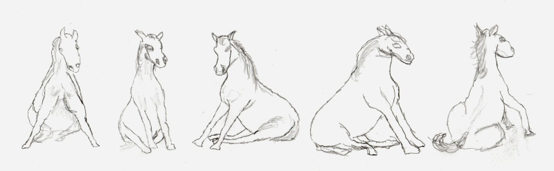 Bemalungen, Umbauten, Modellierungen - neue Tiere für meine Dioramen 148a_r10