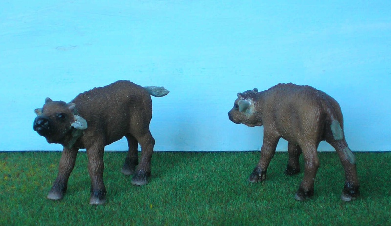 Bemalungen, Umbauten, Modellierungen - neue Tiere für meine Dioramen 177b4_10