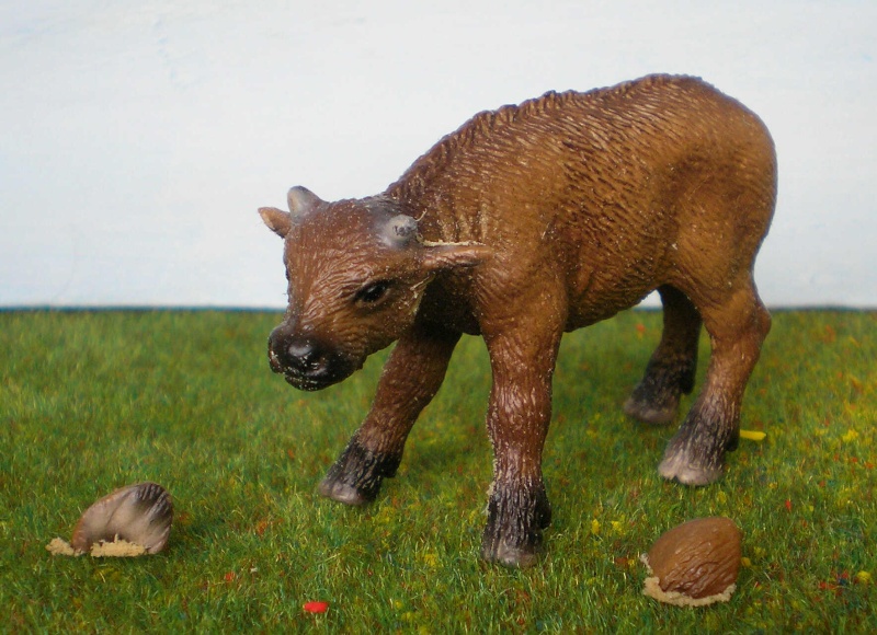Bemalungen, Umbauten, Modellierungen - neue Tiere für meine Dioramen 180a2_10