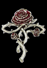 Alliance Rose