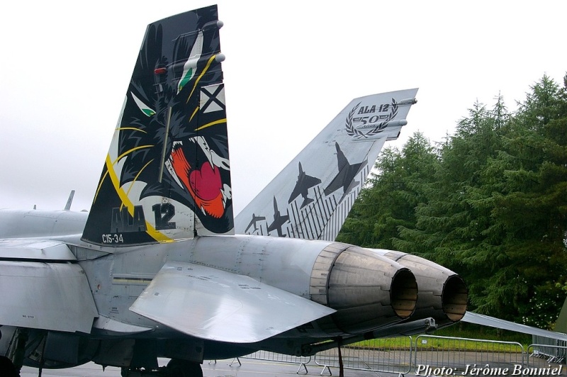 D - Cérémonie d'adieu des derniers Phantom au sein de la JG 71! Imgp7622