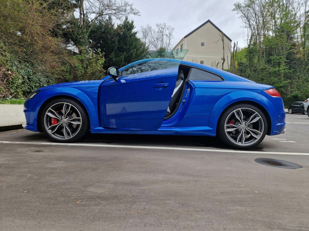 Retour en TTS Bleu Ara 33941411
