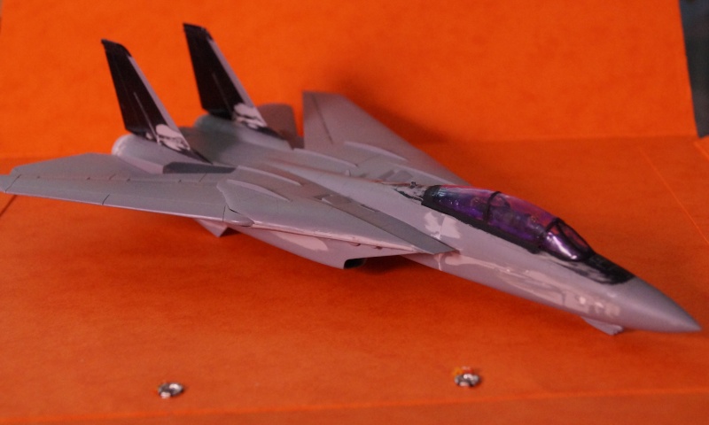 F-14A TOMCAT "AGGRESSOR'S" Italeri 1/72 Dsc02720