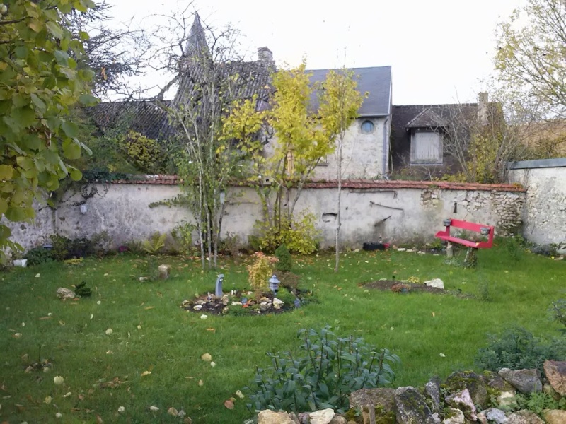 mon ptit jardin Cam00826