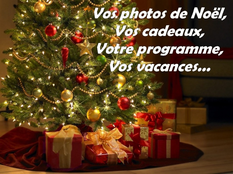 Fêtes d'hiver: Noël 2013 et Nouvel An 2014 20121111