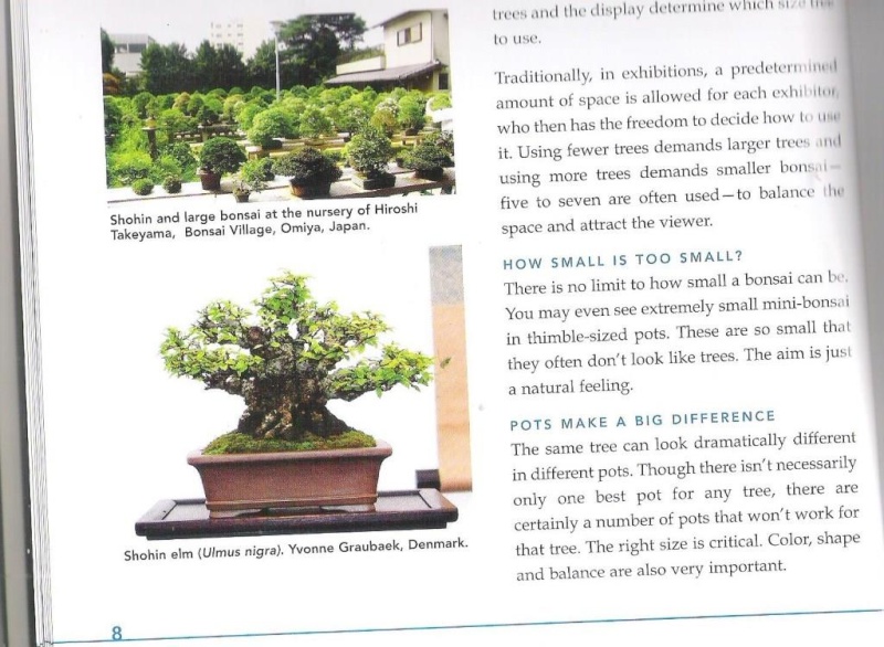 Ficus in The cold north ( Denmark) - Page 5 Yvonne10