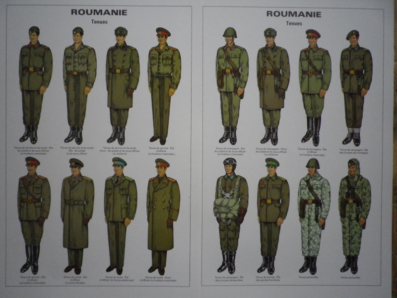 uniformes  roumains du bloc soviétique Imgp4611