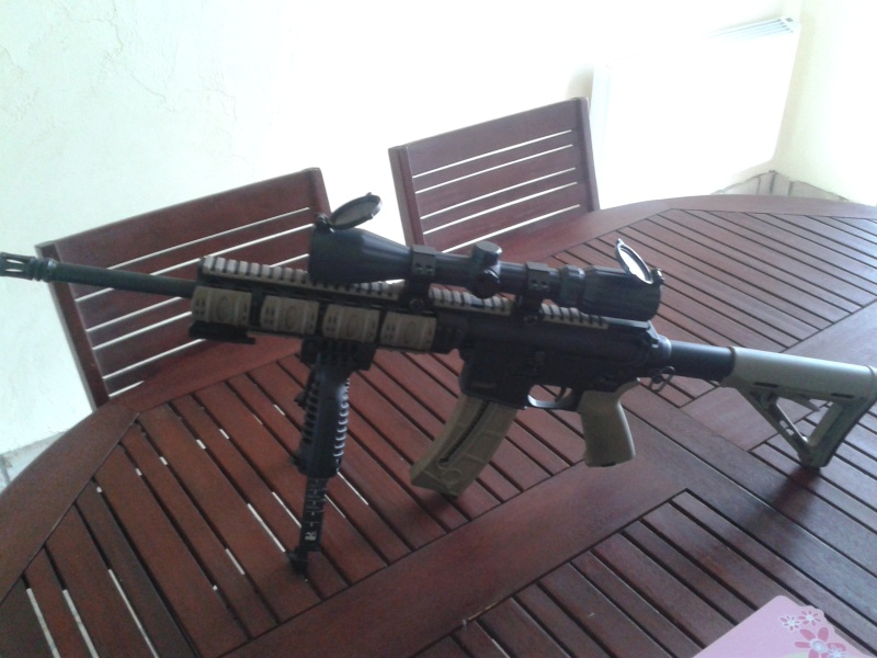 ar 15 en 22lr - Page 2 20140510